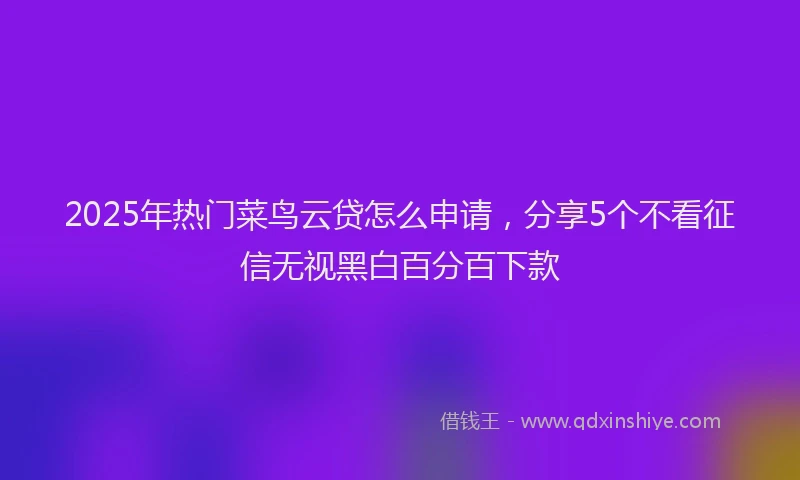 2025年热门菜鸟云贷怎么申请，分享5个不看征信无视黑白百分百下款