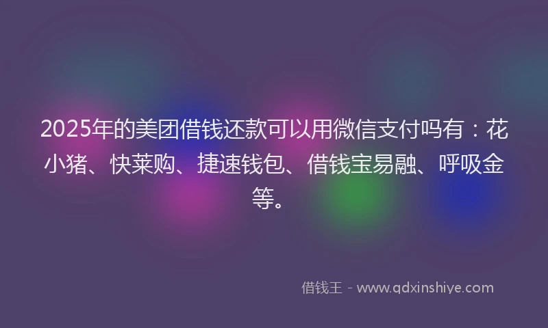 2025年的美团借钱还款可以用微信支付吗有：花小猪、快莱购、捷速钱包、借钱宝易融、呼吸金等。