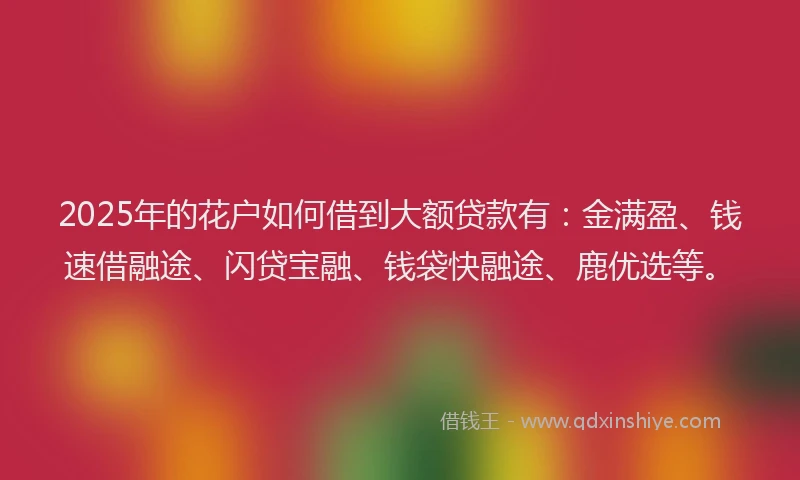 2025年的花户如何借到大额贷款有：金满盈、钱速借融途、闪贷宝融、钱袋快融途、鹿优选等。