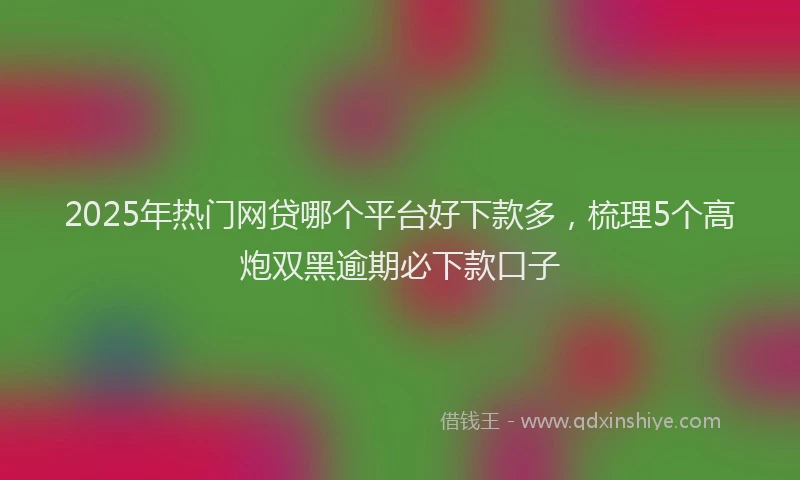 2025年热门网贷哪个平台好下款多，梳理5个高炮双黑逾期必下款口子
