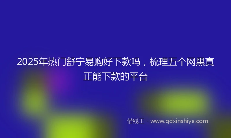 2025年热门舒宁易购好下款吗，梳理五个网黑真正能下款的平台