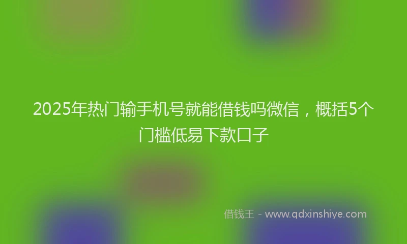 2025年热门输手机号就能借钱吗微信，概括5个门槛低易下款口子