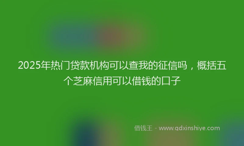 2025年热门贷款机构可以查我的征信吗，概括五个芝麻信用可以借钱的口子