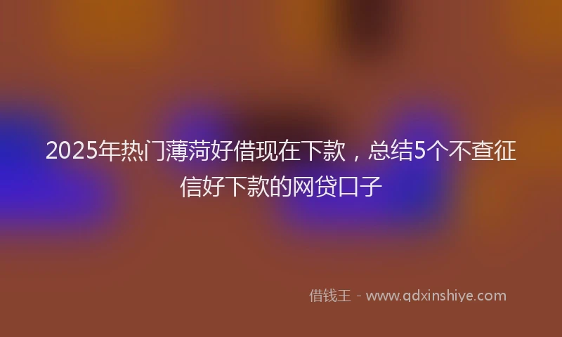 2025年热门薄菏好借现在下款，总结5个不查征信好下款的网贷口子