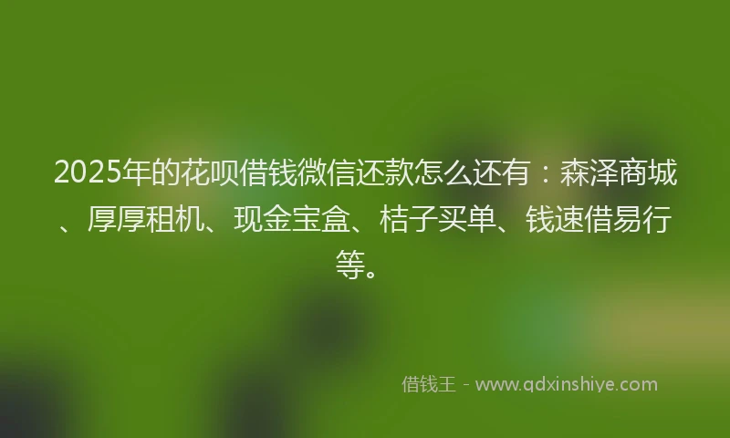 2025年的花呗借钱微信还款怎么还有：森泽商城、厚厚租机、现金宝盒、桔子买单、钱速借易行等。