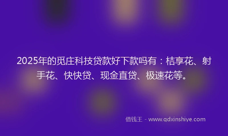 2025年的觅庄科技贷款好下款吗有：桔享花、射手花、快快贷、现金直贷、极速花等。