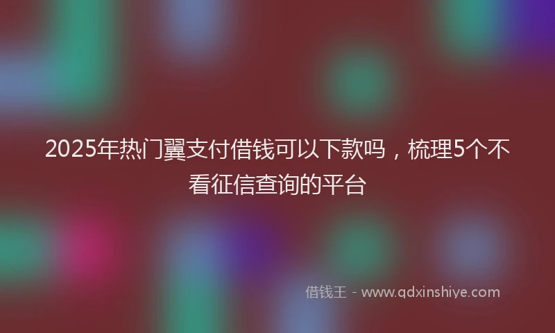 2025年热门翼支付借钱可以下款吗，梳理5个不看征信查询的平台