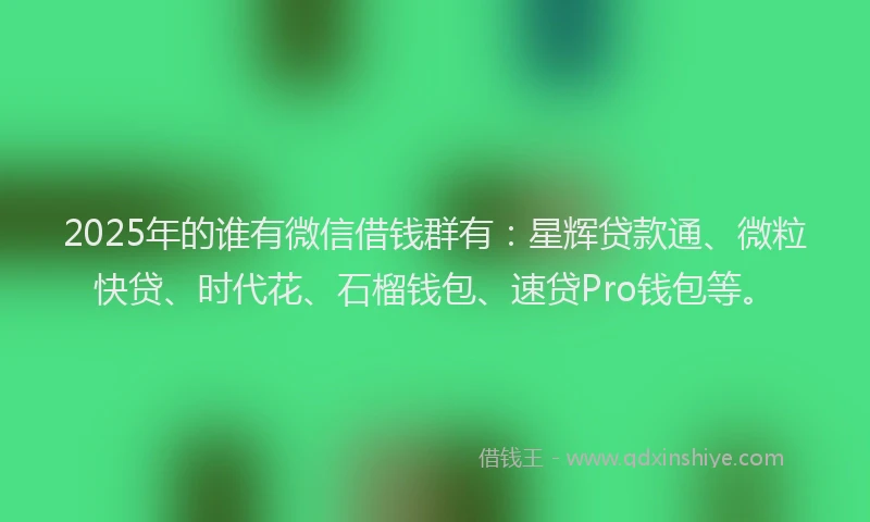 2025年的谁有微信借钱群有：星辉贷款通、微粒快贷、时代花、石榴钱包、速贷Pro钱包等。
