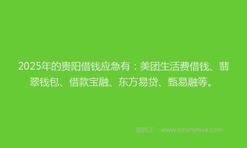 2025年的贵阳借钱应急有：美团生活费借钱、翡翠钱包、借款宝融、东方易贷、甄易融等。