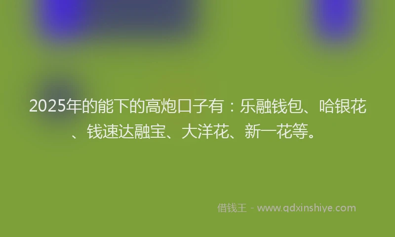 2025年的能下的高炮口子有：乐融钱包、哈银花、钱速达融宝、大洋花、新一花等。