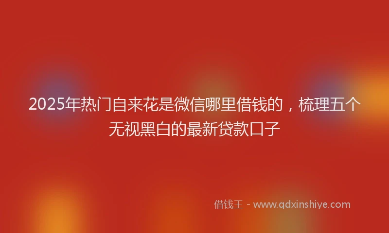 2025年热门自来花是微信哪里借钱的，梳理五个无视黑白的最新贷款口子