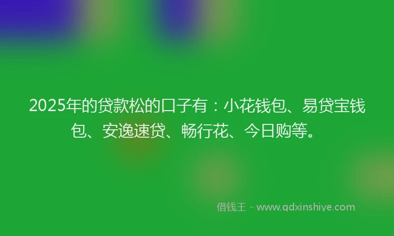 2025年的贷款松的口子有：小花钱包、易贷宝钱包、安逸速贷、畅行花、今日购等。