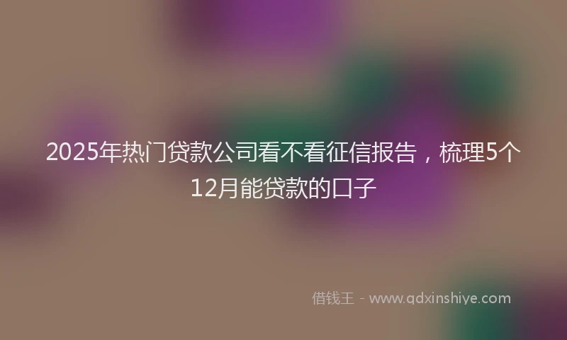 2025年热门贷款公司看不看征信报告，梳理5个12月能贷款的口子