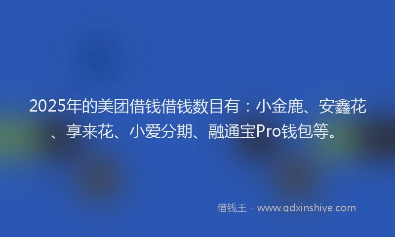 2025年的美团借钱借钱数目有：小金鹿、安鑫花、享来花、小爱分期、融通宝Pro钱包等。