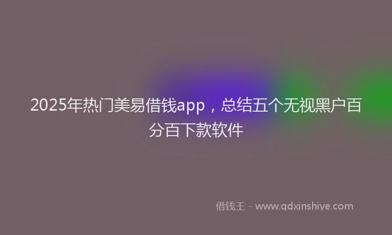 2025年热门美易借钱app，总结五个无视黑户百分百下款软件