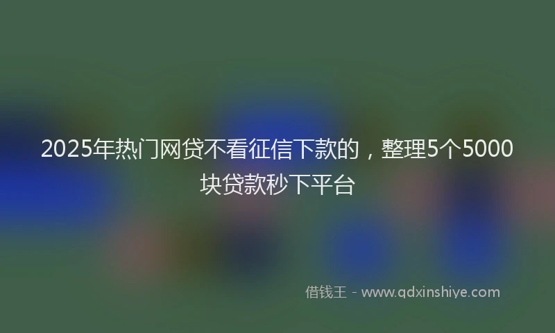 2025年热门网贷不看征信下款的，整理5个5000块贷款秒下平台