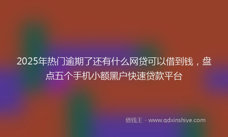 2025年热门逾期了还有什么网贷可以借到钱，盘点五个手机小额黑户快速贷款平台