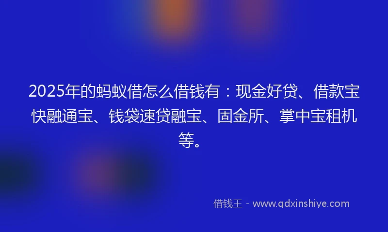 2025年的蚂蚁借怎么借钱有：现金好贷、借款宝快融通宝、钱袋速贷融宝、固金所、掌中宝租机等。