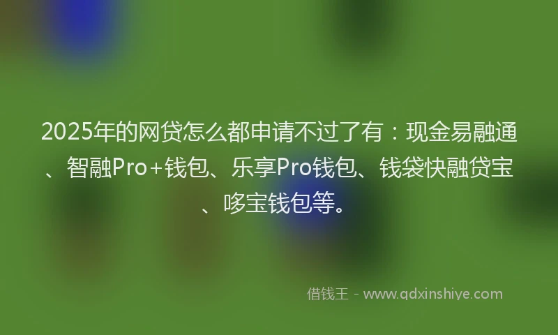 2025年的网贷怎么都申请不过了有：现金易融通、智融Pro+钱包、乐享Pro钱包、钱袋快融贷宝、哆宝钱包等。
