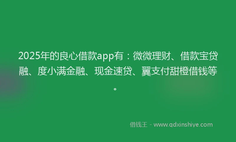 2025年的良心借款app有：微微理财、借款宝贷融、度小满金融、现金速贷、翼支付甜橙借钱等。