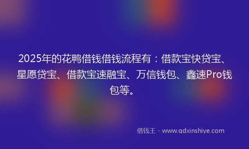 2025年的花鸭借钱借钱流程有：借款宝快贷宝、星愿贷宝、借款宝速融宝、万信钱包、鑫速Pro钱包等。