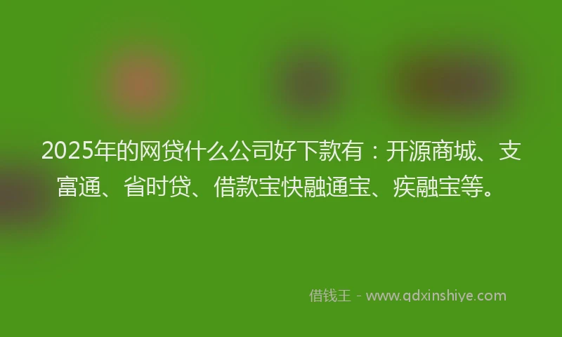 2025年的网贷什么公司好下款有：开源商城、支富通、省时贷、借款宝快融通宝、疾融宝等。