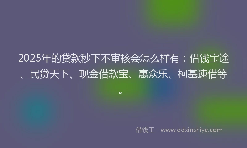 2025年的贷款秒下不审核会怎么样有：借钱宝途、民贷天下、现金借款宝、惠众乐、柯基速借等。