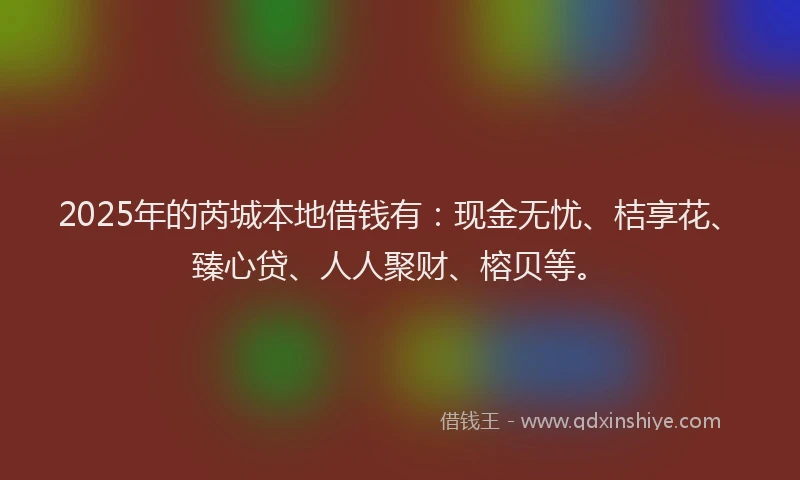 2025年的芮城本地借钱有：现金无忧、桔享花、臻心贷、人人聚财、榕贝等。