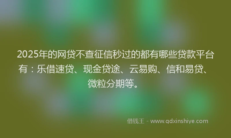 2025年的网贷不查征信秒过的都有哪些贷款平台有：乐借速贷、现金贷途、云易购、信和易贷、微粒分期等。
