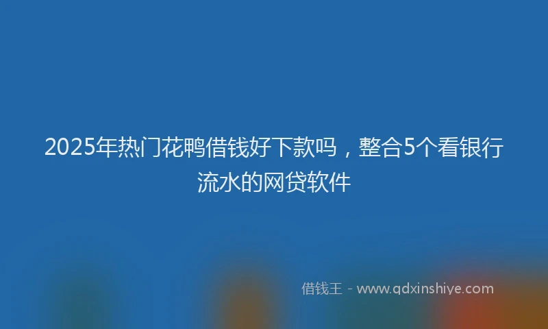 2025年热门花鸭借钱好下款吗，整合5个看银行流水的网贷软件