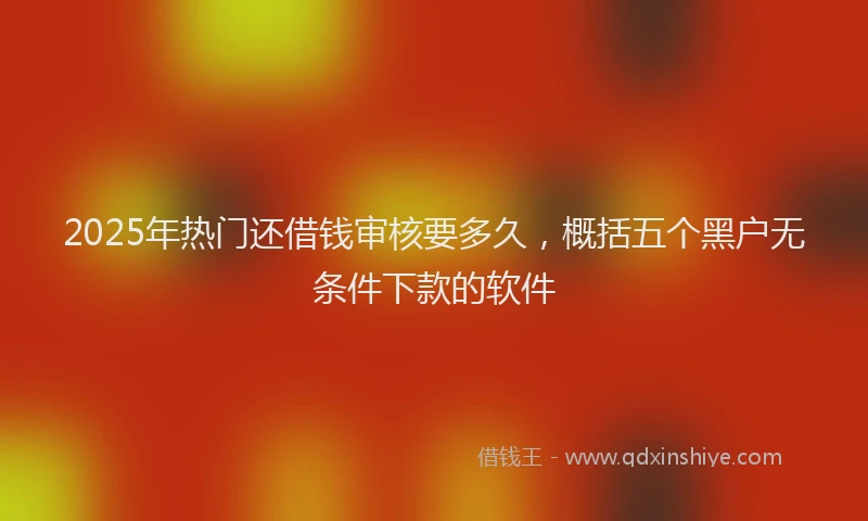 2025年热门还借钱审核要多久，概括五个黑户无条件下款的软件