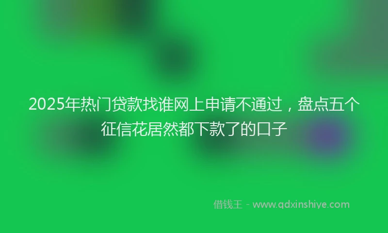 2025年热门贷款找谁网上申请不通过，盘点五个征信花居然都下款了的口子