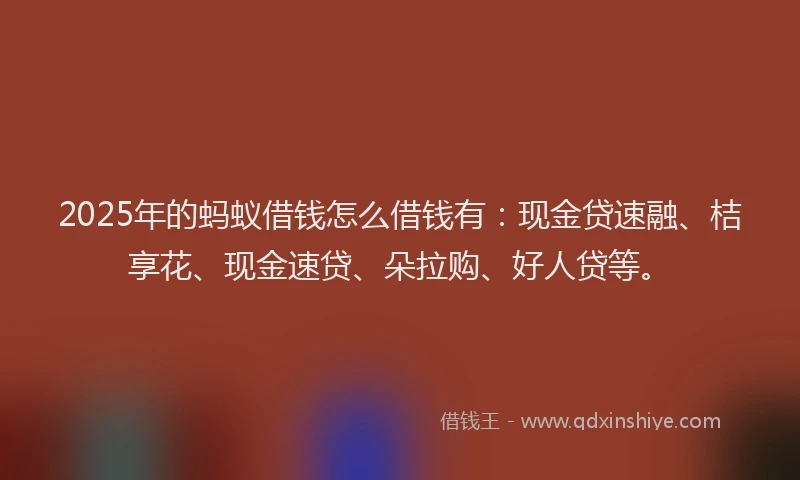 2025年的蚂蚁借钱怎么借钱有：现金贷速融、桔享花、现金速贷、朵拉购、好人贷等。