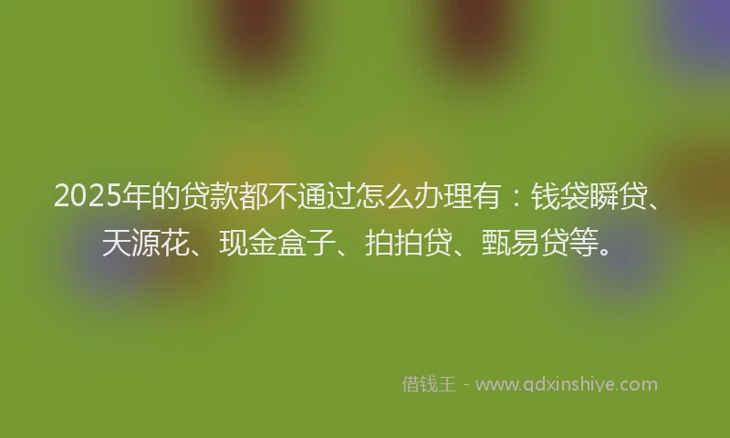 2025年的贷款都不通过怎么办理有：钱袋瞬贷、天源花、现金盒子、拍拍贷、甄易贷等。
