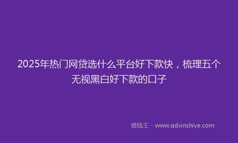 2025年热门网贷选什么平台好下款快，梳理五个无视黑白好下款的口子