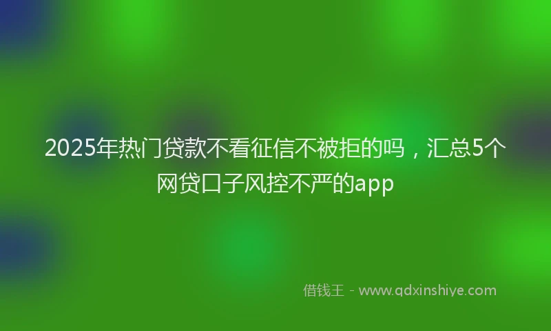 2025年热门贷款不看征信不被拒的吗，汇总5个网贷口子风控不严的app