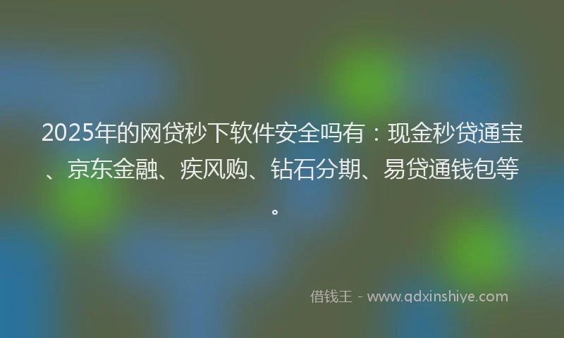 2025年的网贷秒下软件安全吗有：现金秒贷通宝、京东金融、疾风购、钻石分期、易贷通钱包等。