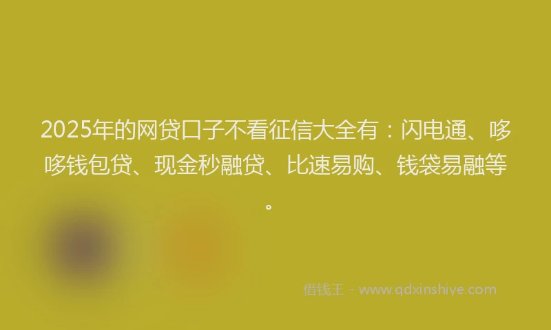 2025年的网贷口子不看征信大全有：闪电通、哆哆钱包贷、现金秒融贷、比速易购、钱袋易融等。