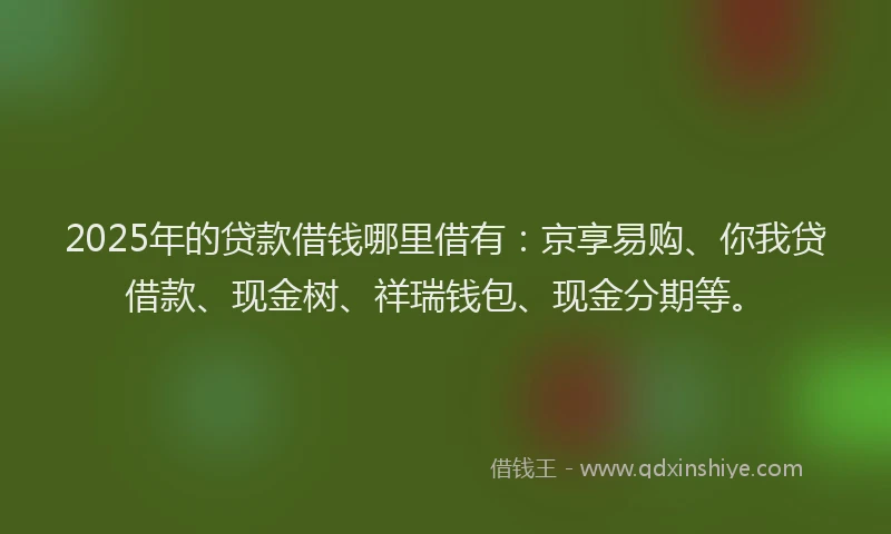 2025年的贷款借钱哪里借有：京享易购、你我贷借款、现金树、祥瑞钱包、现金分期等。