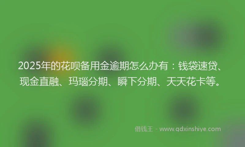 2025年的花呗备用金逾期怎么办有：钱袋速贷、现金直融、玛瑙分期、瞬下分期、天天花卡等。