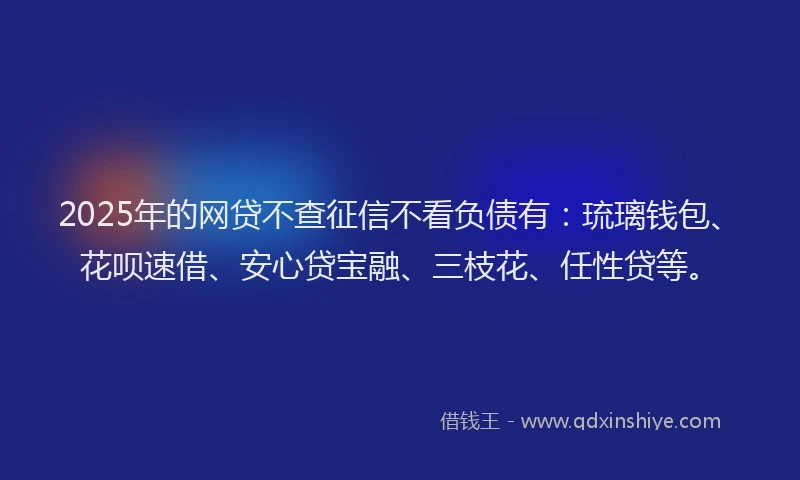2025年的网贷不查征信不看负债有：琉璃钱包、花呗速借、安心贷宝融、三枝花、任性贷等。