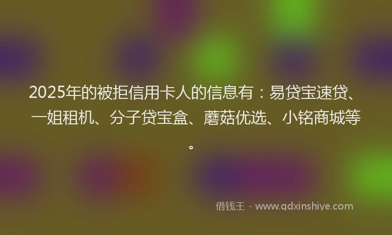 2025年的被拒信用卡人的信息有：易贷宝速贷、一姐租机、分子贷宝盒、蘑菇优选、小铭商城等。