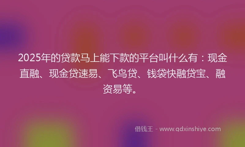 2025年的贷款马上能下款的平台叫什么有：现金直融、现金贷速易、飞鸟贷、钱袋快融贷宝、融资易等。