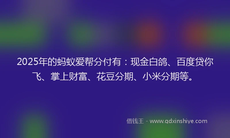 2025年的蚂蚁爱帮分付有：现金白鸽、百度贷你飞、掌上财富、花豆分期、小米分期等。