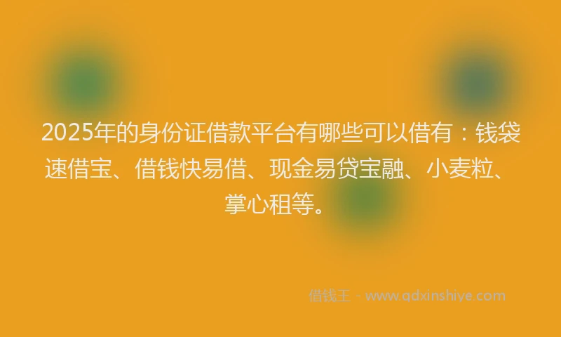 2025年的身份证借款平台有哪些可以借有：钱袋速借宝、借钱快易借、现金易贷宝融、小麦粒、掌心租等。
