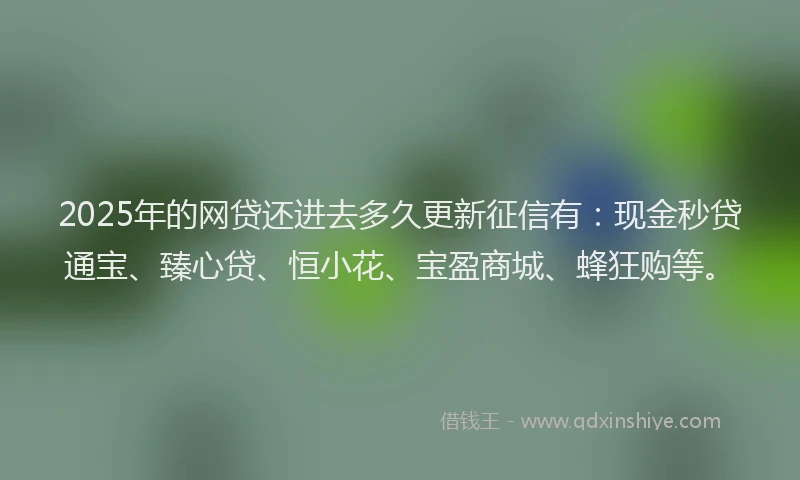2025年的网贷还进去多久更新征信有：现金秒贷通宝、臻心贷、恒小花、宝盈商城、蜂狂购等。