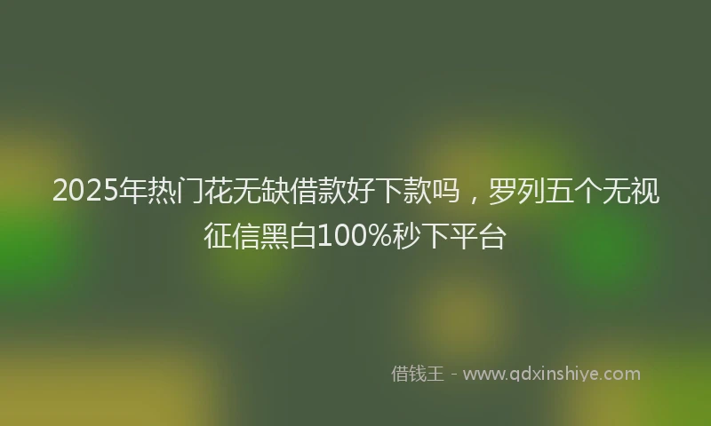 2025年热门花无缺借款好下款吗，罗列五个无视征信黑白100%秒下平台