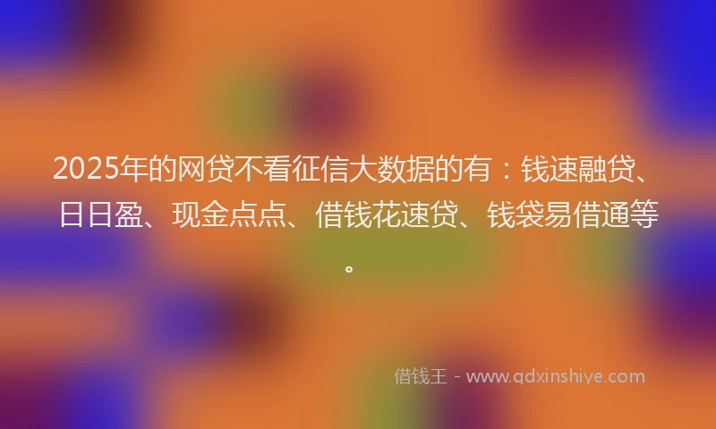 2025年的网贷不看征信大数据的有：钱速融贷、日日盈、现金点点、借钱花速贷、钱袋易借通等。