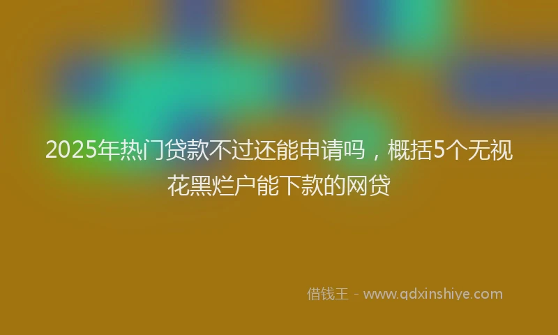 2025年热门贷款不过还能申请吗，概括5个无视花黑烂户能下款的网贷