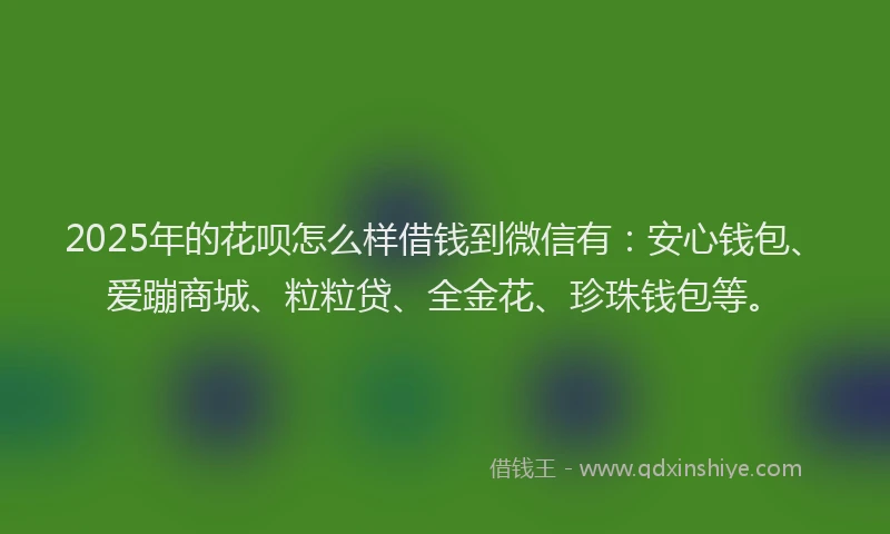 2025年的花呗怎么样借钱到微信有：安心钱包、爱蹦商城、粒粒贷、全金花、珍珠钱包等。